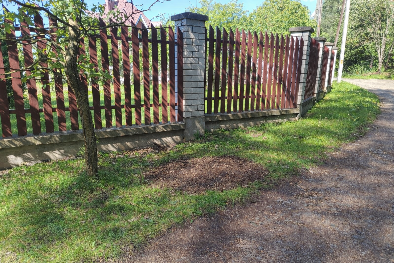 Rizikové kácení stromu u rodinného domu po čištění