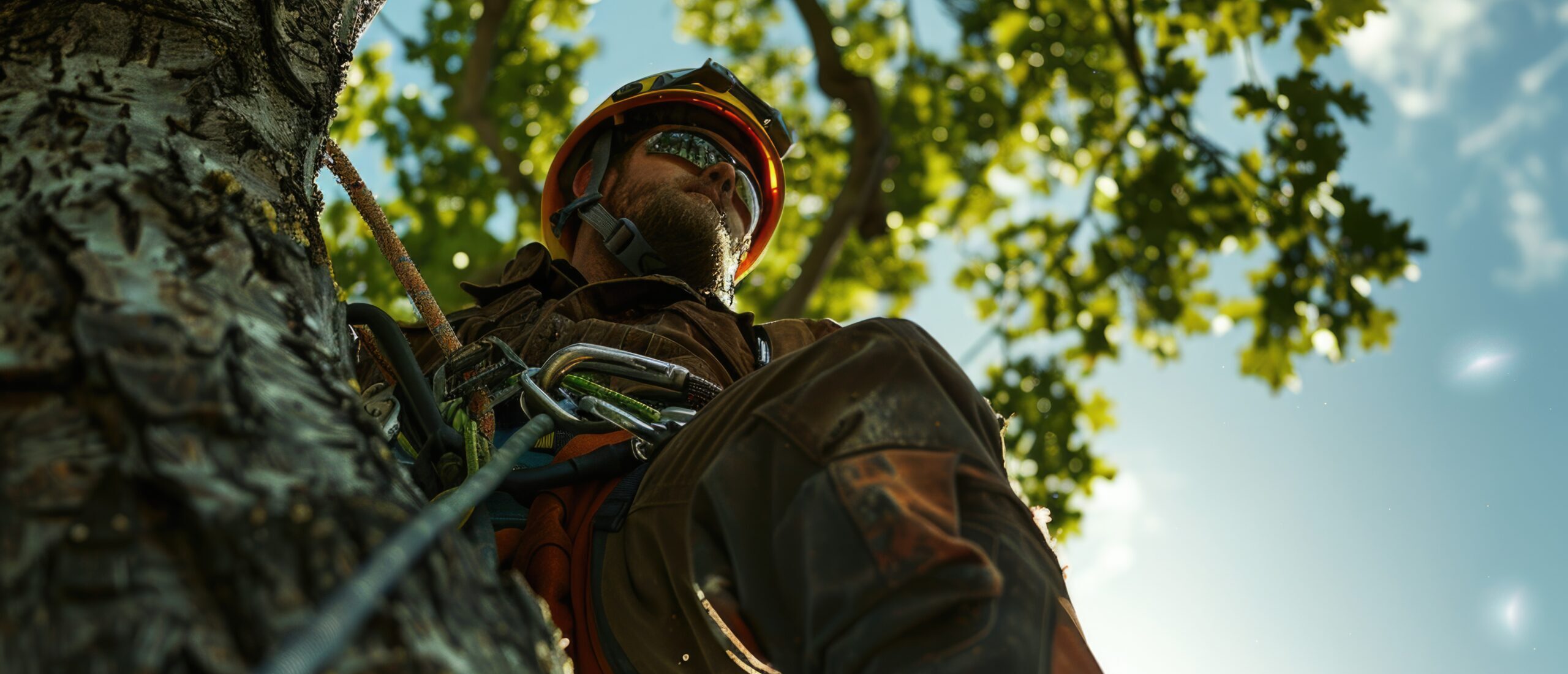 RIZIKOVÉ KÁCENÍ STROMŮ