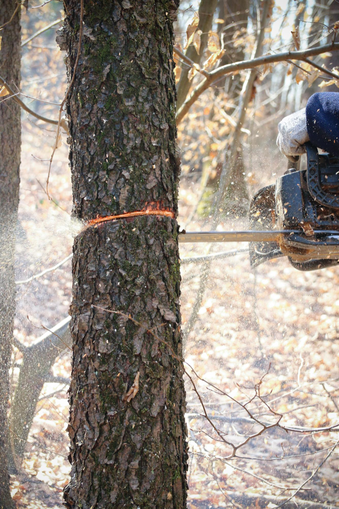 Často kladené otázky