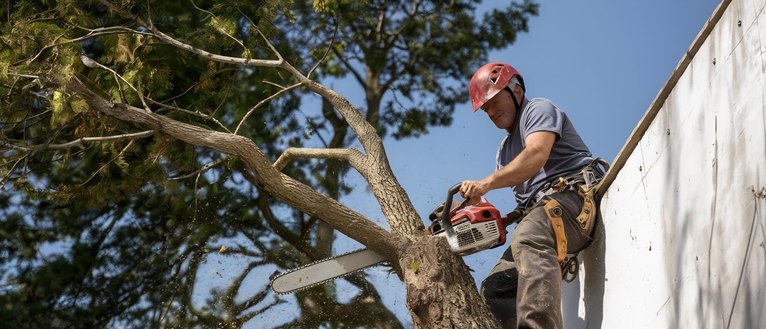 KÁCENÍ STROMŮ V ZÁSTAVBĚ